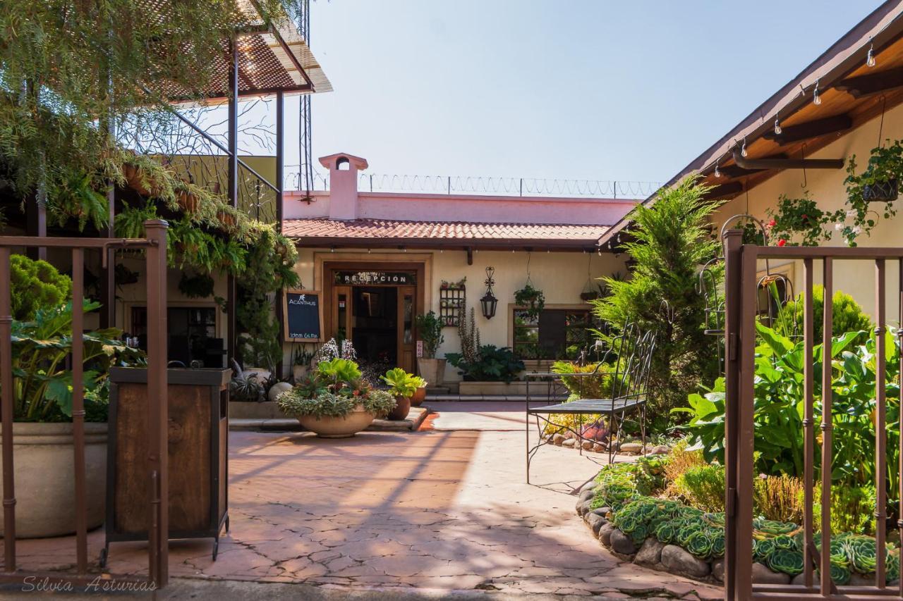 Acanthus Boutique Hotel ケツァルテナンゴ エクステリア 写真